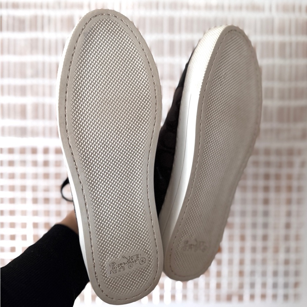 Coach Canvas Paddy Signa. Logo Sneakers - Picture 9 of 10